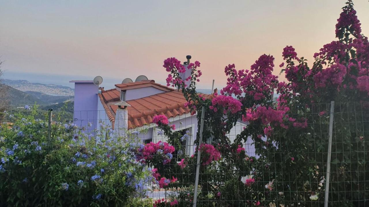 Villa Kokos Dilináta Exterior foto